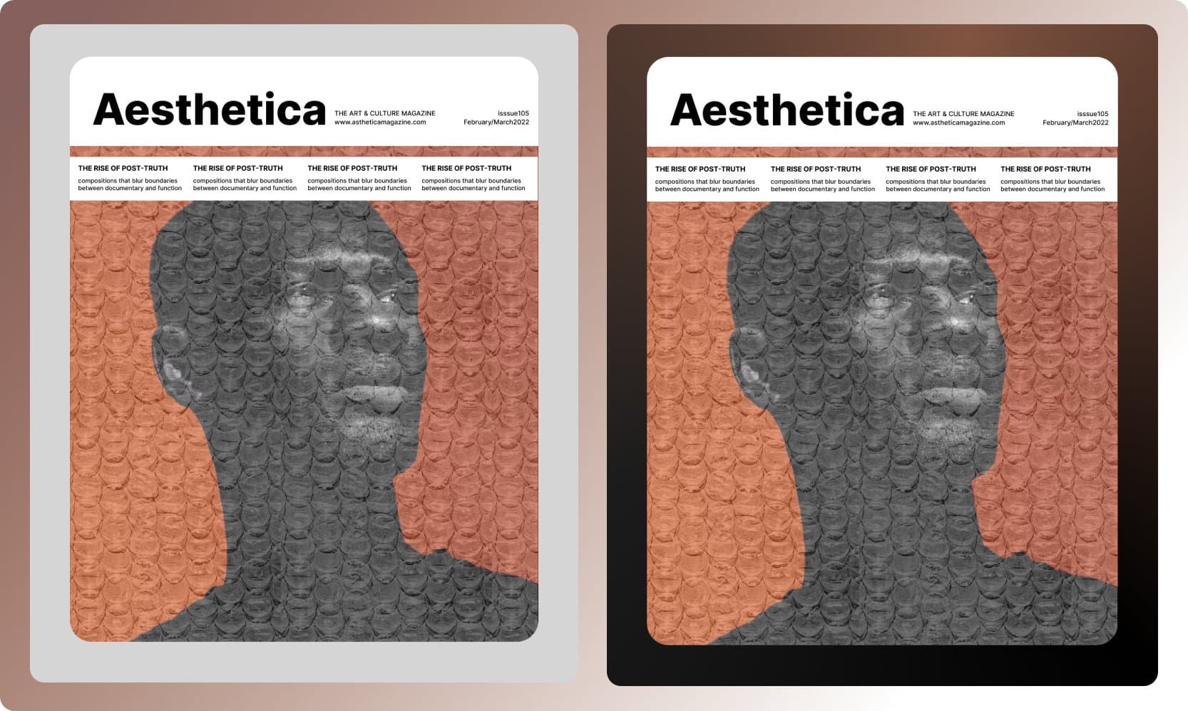 Aesthetica screens